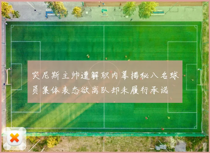 突尼斯主帅遭解职内幕揭秘八名球员集体表态欲离队却未履行承诺