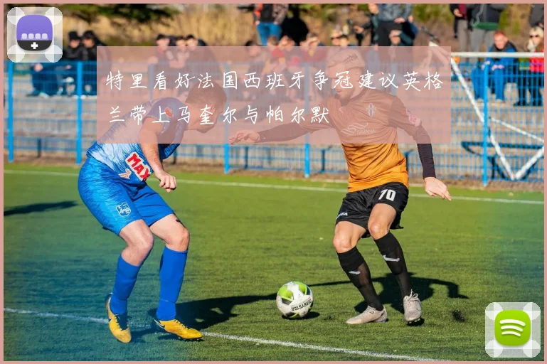 特里看好法国西班牙争冠建议英格兰带上马奎尔与帕尔默